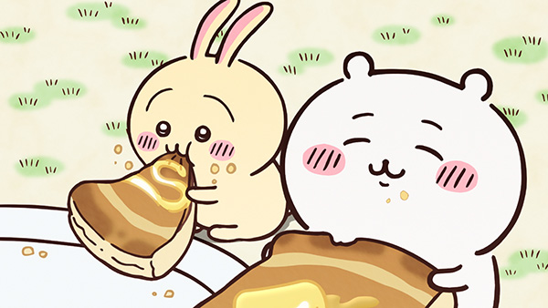 かためのプリン／ホットケーキ